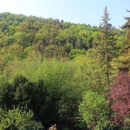 Grosszuegiges Zimmer Mit Terrasse Am Rheinsteig 莱茵河畔林茨 外观 照片